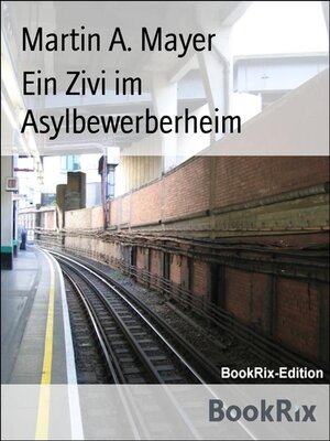 cover image of Ein Zivi im Asylbewerberheim